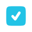 checkbox icon